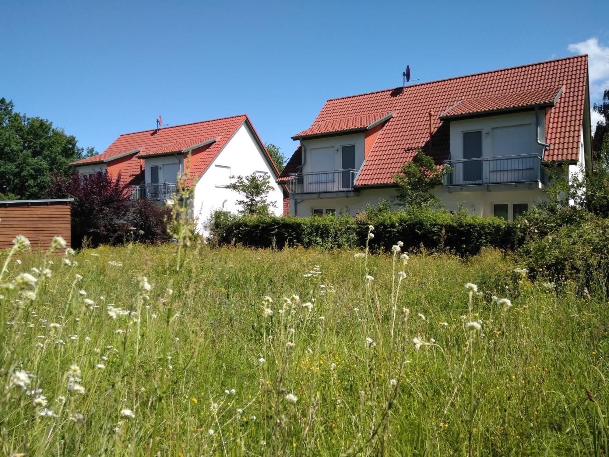 Alter Schulgarten Apartment Loddin