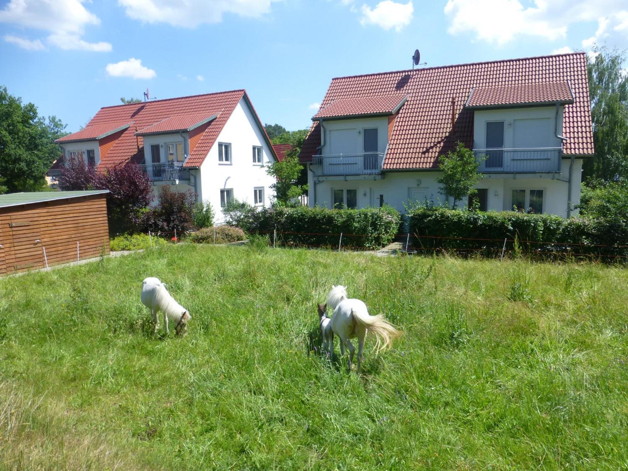 Alter Schulgarten *